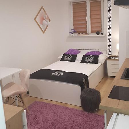 Apartamenty Centrum Panoramiczna Mala Dwojka Swan Labedz Promenada Klimatyzacja Lodowa Kielce Kültér fotó