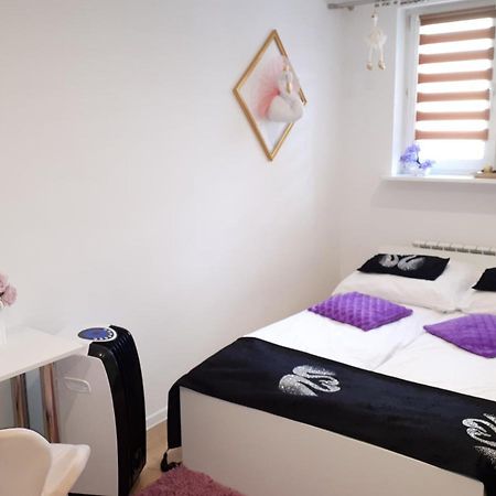 Apartamenty Centrum Panoramiczna Mala Dwojka Swan Labedz Promenada Klimatyzacja Lodowa Kielce Kültér fotó