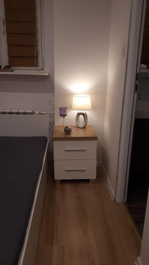 Apartamenty Centrum Panoramiczna Mala Dwojka Swan Labedz Promenada Klimatyzacja Lodowa Kielce Kültér fotó