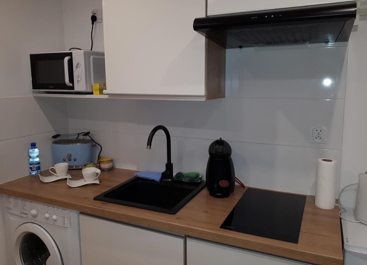 Apartamenty Centrum Panoramiczna Mala Dwojka Swan Labedz Promenada Klimatyzacja Lodowa Kielce Kültér fotó