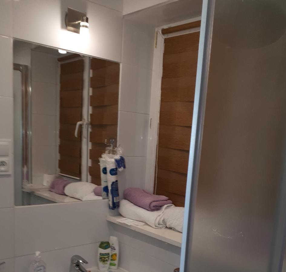 Apartamenty Centrum Panoramiczna Mala Dwojka Swan Labedz Promenada Klimatyzacja Lodowa Kielce Kültér fotó