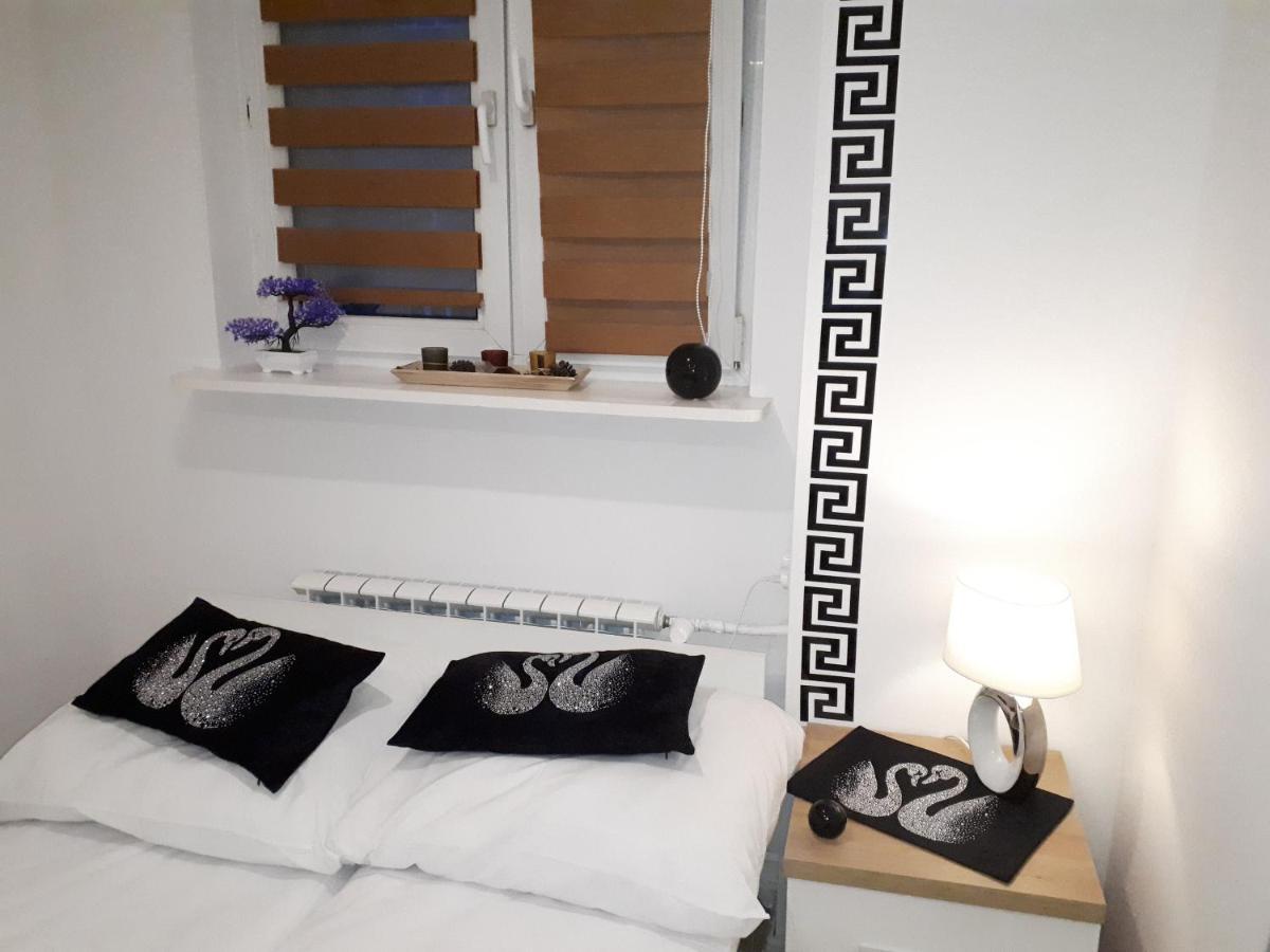 Apartamenty Centrum Panoramiczna Mala Dwojka Swan Labedz Promenada Klimatyzacja Lodowa Kielce Kültér fotó
