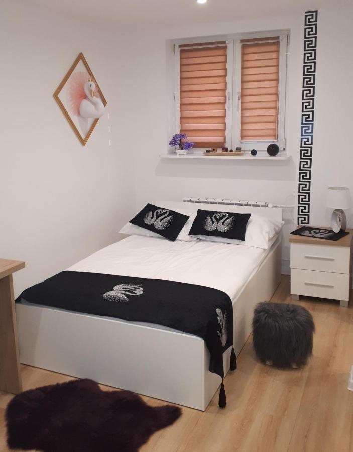 Apartamenty Centrum Panoramiczna Mala Dwojka Swan Labedz Promenada Klimatyzacja Lodowa Kielce Kültér fotó