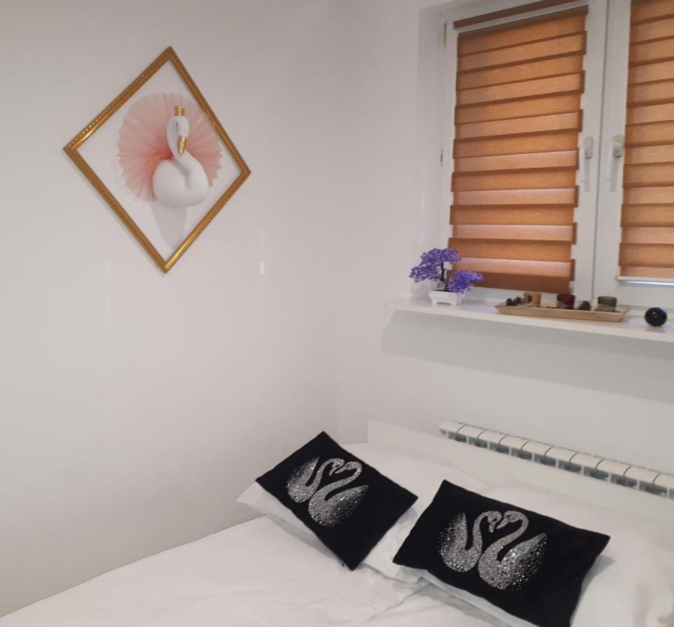 Apartamenty Centrum Panoramiczna Mala Dwojka Swan Labedz Promenada Klimatyzacja Lodowa Kielce Kültér fotó