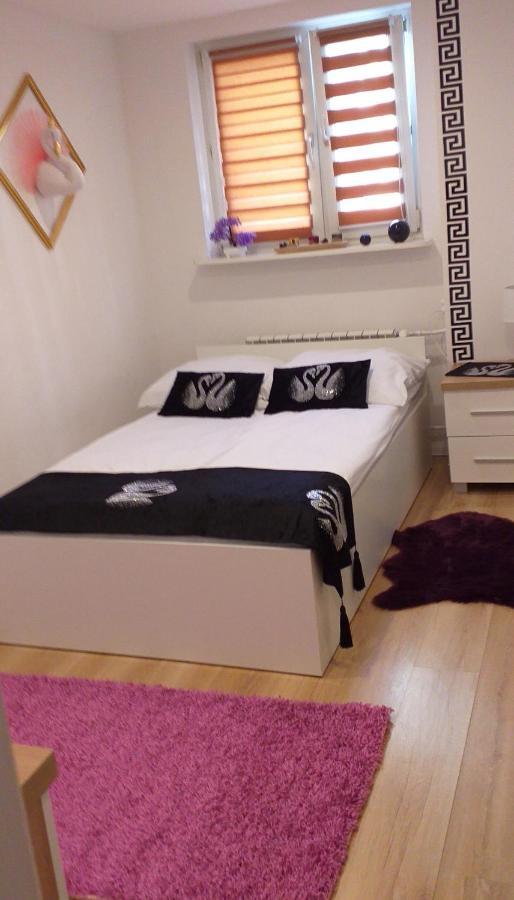 Apartamenty Centrum Panoramiczna Mala Dwojka Swan Labedz Promenada Klimatyzacja Lodowa Kielce Kültér fotó