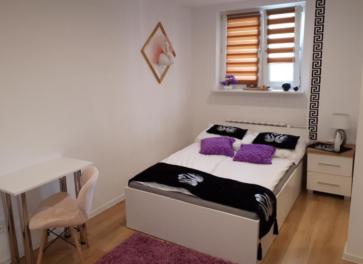 Apartamenty Centrum Panoramiczna Mala Dwojka Swan Labedz Promenada Klimatyzacja Lodowa Kielce Kültér fotó