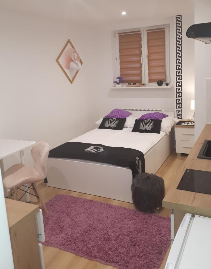 Apartamenty Centrum Panoramiczna Mala Dwojka Swan Labedz Promenada Klimatyzacja Lodowa Kielce Kültér fotó