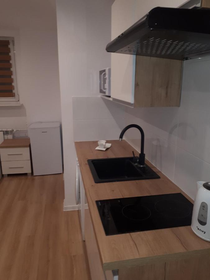 Apartamenty Centrum Panoramiczna Mala Dwojka Swan Labedz Promenada Klimatyzacja Lodowa Kielce Kültér fotó